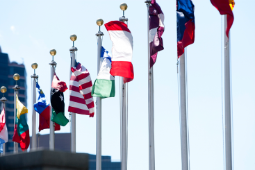 United Nations flags
