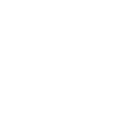 Privacy icon.