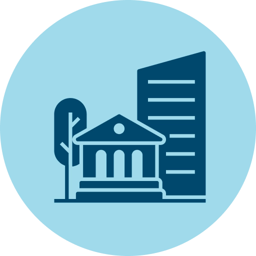 Government icon