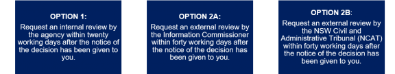 Fact_Sheet_Simplified_guide_for_information_access_image_3.png